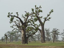 264607_10150259148459901_744112_n